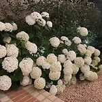Borgata Cantone Отель типа 
