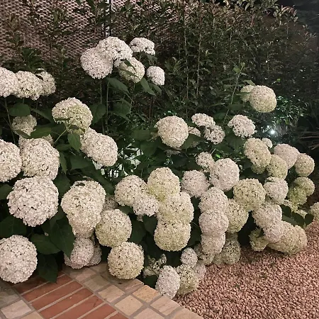 Borgata Cantone Bed & Breakfast Garlenda