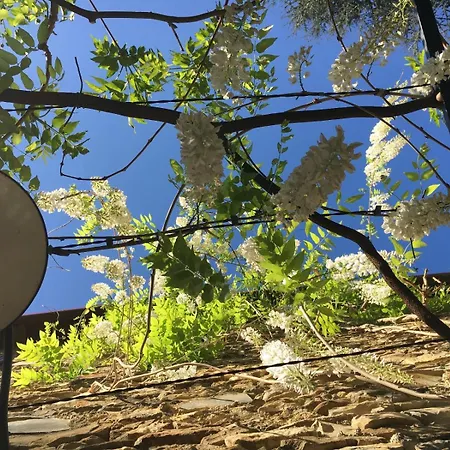 Borgata Cantone Bed & Breakfast