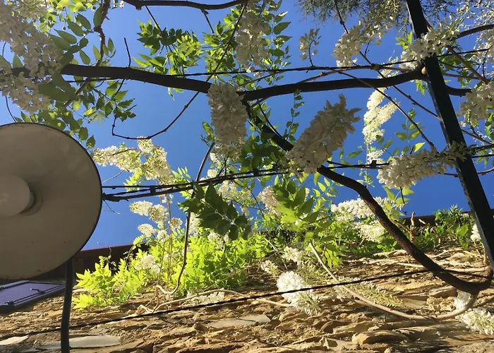 Borgata Cantone Bed & Breakfast