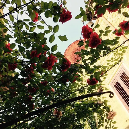 Couette-café Borgata Cantone