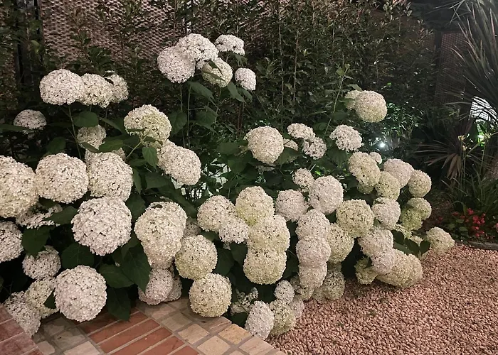 Borgata Cantone Panzió Garlenda